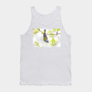 Northern Parula perched on branch in spring in Ottawa, Canada Tank Top